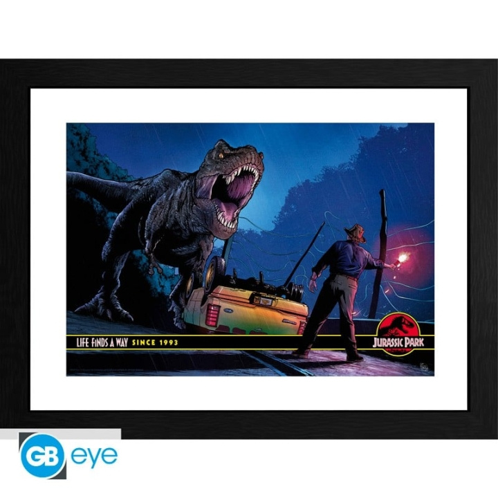 JURASSIC PARK - Inramad tavla Alan Grant vs T-Rex (30x40) x2 i gruppen SPORT, FRITID & HOBBY / Roliga prylar / Samlarobjekt hos TP E-commerce Nordic AB (D20277)