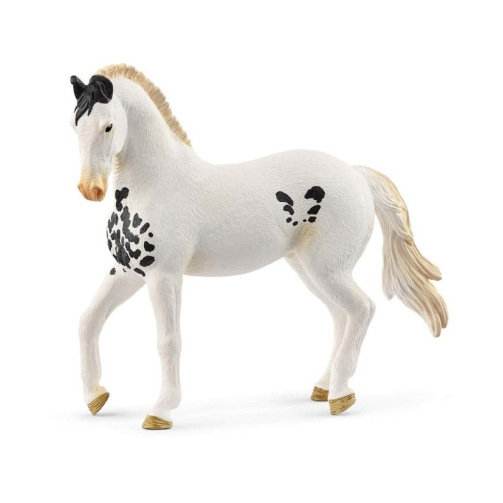 Schleich Marwari Stallion - (14898) i gruppen LEKSAKER, BARN- & BABYPRODUKTER / Leksaker / Figurer, Miniatyrer & tillbehör hos TP E-commerce Nordic AB (D21523)