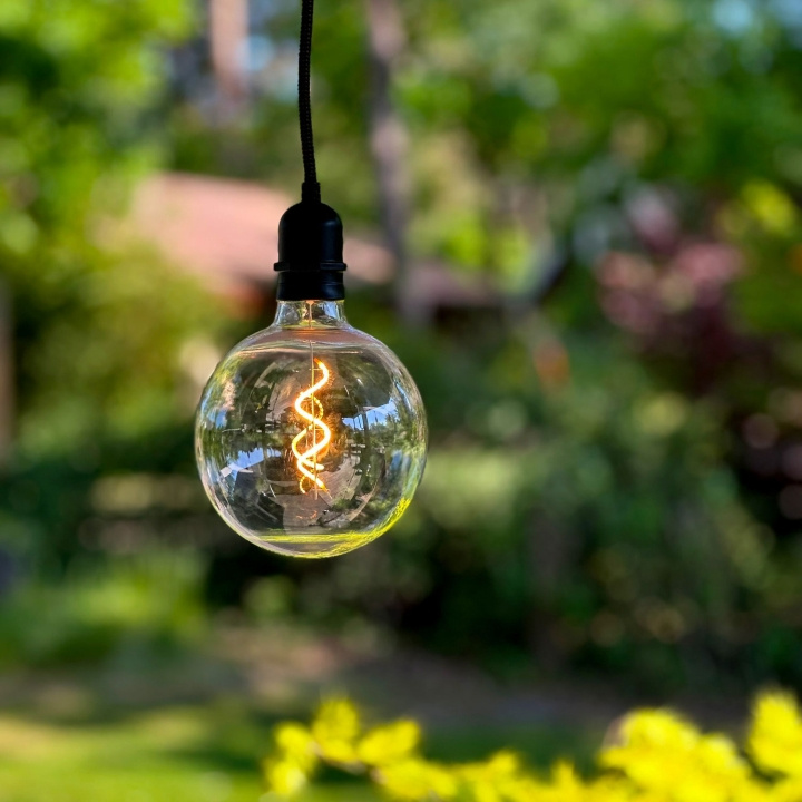LightsOn Penny Pendellampa Gravity + DecoBulb XL Varmvit i gruppen HEM, HUSHÅLL & TRÄDGÅRD / El & Belysning / Utomhusbelysning hos TP E-commerce Nordic AB (D21637)