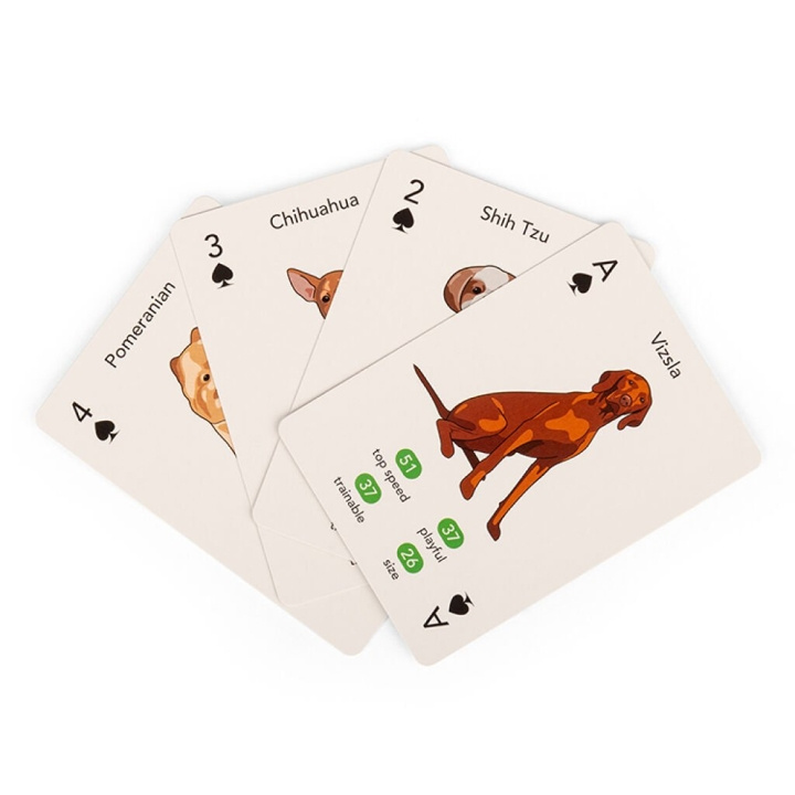 Kikkerland Paws & Play Spelkort - (GG274) i gruppen LEKSAKER, BARN- & BABYPRODUKTER / Spel / Kortspel hos TP E-commerce Nordic AB (D22470)