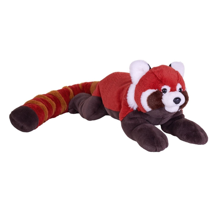 Wild Republic Gosedjur Earthkins Kattbjörn i gruppen LEKSAKER, BARN- & BABYPRODUKTER / Babyleksaker / Gosedjur hos TP E-commerce Nordic AB (D23120)