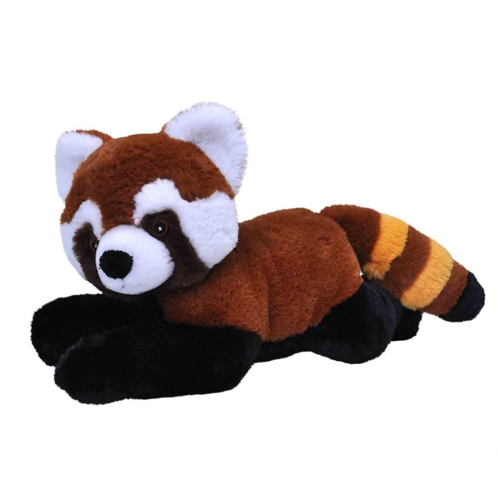 Wild Republic Gosedjur Ecokins 30 cm Kattbjörn i gruppen LEKSAKER, BARN- & BABYPRODUKTER / Babyleksaker / Gosedjur hos TP E-commerce Nordic AB (D23148)