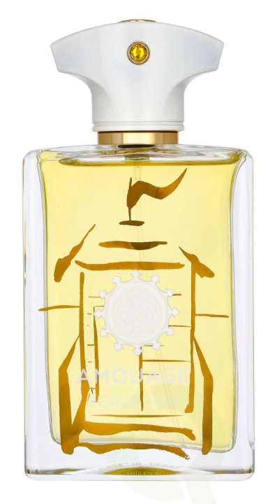 Amouage Beach Hut Man Edp Spray 100 ml i gruppen SKÖNHET & HÄLSA / Doft & Parfym / Parfym / Parfym för honom hos TP E-commerce Nordic AB (D23498)
