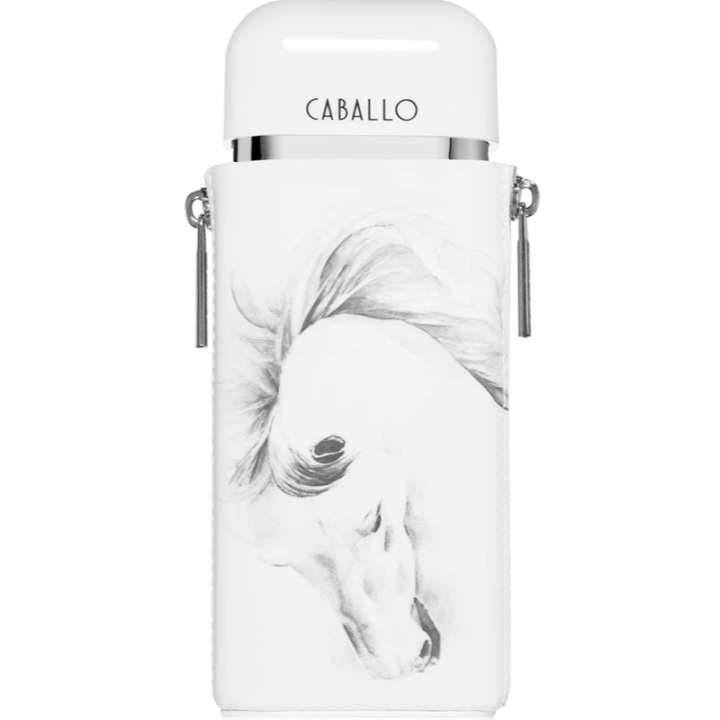Armaf Caballo Men Edp 100ml i gruppen SKÖNHET & HÄLSA / Doft & Parfym / Parfym / Parfym för honom hos TP E-commerce Nordic AB (D25144)