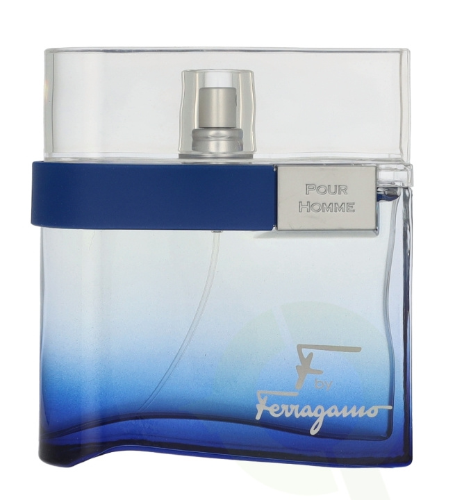 Ferragamo F Pour Homme Free Time Edt Spray 100 ml i gruppen SKÖNHET & HÄLSA / Doft & Parfym / Parfym / Parfym för honom hos TP E-commerce Nordic AB (D25213)