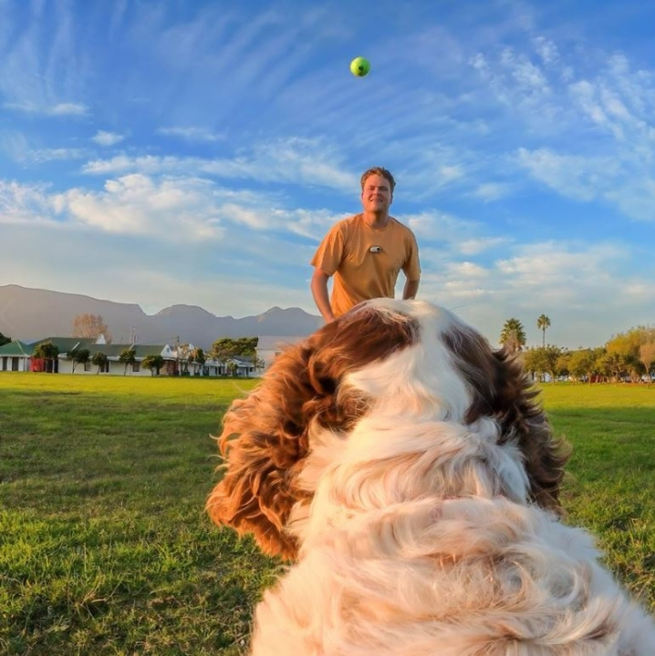 Insta360 GO 3/GO 3S-selefäste för husdjur storlek S i gruppen SPORT, FRITID & HOBBY / Actionkameror & Tillbehör hos TP E-commerce Nordic AB (D31150)