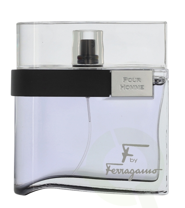 Ferragamo F By Ferragamo Black Edt Spray 100 ml i gruppen SKÖNHET & HÄLSA / Doft & Parfym / Parfym hos TP E-commerce Nordic AB (D32947)