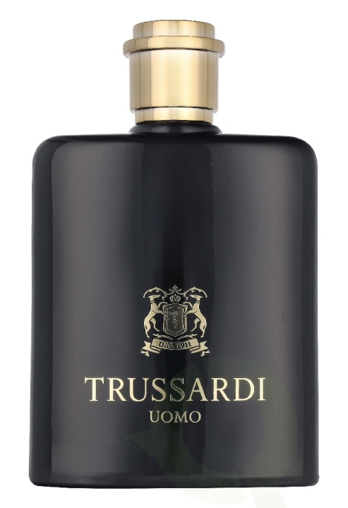 Trussardi Uomo 2011 Edt Spray 100 ml i gruppen SKÖNHET & HÄLSA / Doft & Parfym / Parfym hos TP E-commerce Nordic AB (D33162)