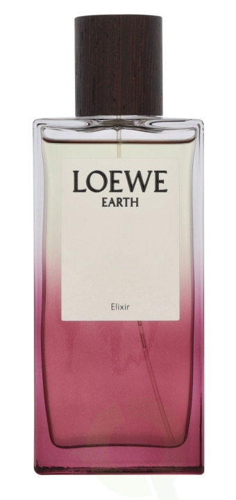 Loewe Earth Elixir Edp Spray 100 ml i gruppen SKÖNHET & HÄLSA / Doft & Parfym / Parfym hos TP E-commerce Nordic AB (D34038)