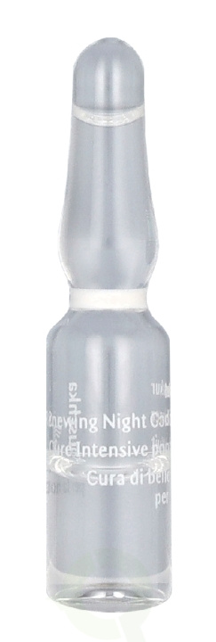 Dr. Hauschka Renewing Night Conditioner 50 ml 50x1 i gruppen SKÖNHET & HÄLSA / Hudvård / Ansiktsvård / Serum Hud hos TP E-commerce Nordic AB (D35937)