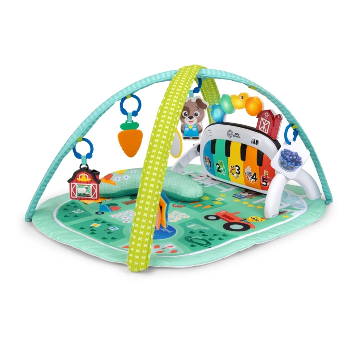 Baby Einstein 4-i-1 Kickin' Tunes™ Musical Meadow™ Musik- och språkutvecklingsgym (BE-17447) i gruppen LEKSAKER, BARN- & BABYPRODUKTER / Babyleksaker / Aktivitetsleksaker hos TP E-commerce Nordic AB (D37368)