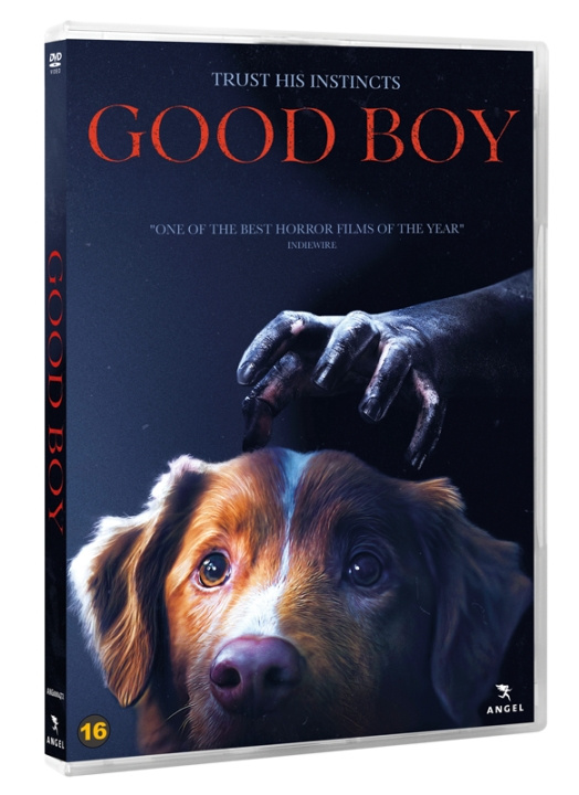 GOOD BOY (DVD) i gruppen HEMELEKTRONIK / Ljud & Bild / TV & Tillbehör / Filmer / DVD hos TP E-commerce Nordic AB (D38107)