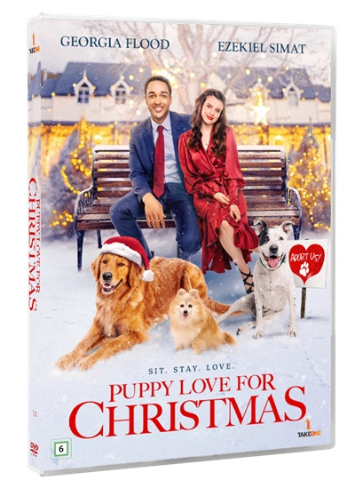 TAKE ONE AB PUPPY LOVE FOR CHRISTMAS i gruppen HEMELEKTRONIK / Ljud & Bild / TV & Tillbehör / Filmer / DVD hos TP E-commerce Nordic AB (D38430)