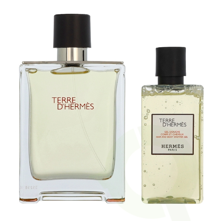Hermes Terre D\'Hermes Giftset 180 ml Edt Spray 100 ml / Shower Gel 80 ml i gruppen SKÖNHET & HÄLSA / Doft & Parfym / Parfym / Parfym för honom hos TP E-commerce Nordic AB (D40955)