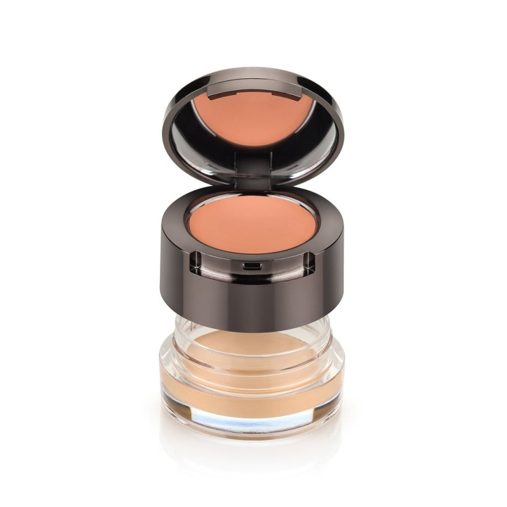 BODYOPGRAPHY BODYOGRAPHY – COVER AND CORRECT LIGHT i gruppen SKÖNHET & HÄLSA / Makeup / Basmakeup / Concealer hos TP E-commerce Nordic AB (D43057)