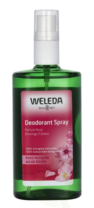Weleda Wilde Roses Deodorant Spray 100 ml i gruppen SKÖNHET & HÄLSA / Doft & Parfym / Deodorant hos TP E-commerce Nordic AB (D44275)
