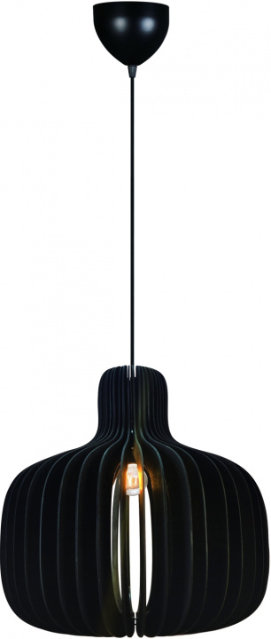 Nordlux Taklampa Hazo 43 Svart Nordlux i gruppen HEMELEKTRONIK / Belysning / Taklampor hos TP E-commerce Nordic AB (D44446)