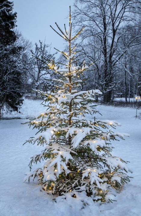 Star Trading 590-81 Dew Drop Micro Grön Star Trading i gruppen HEMELEKTRONIK / Belysning / LED-slingor hos TP E-commerce Nordic AB (D45330)