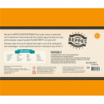 Kärnan Beppes bästa experiment