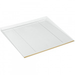 Champion Waterguard Disk/Kyl/Frys