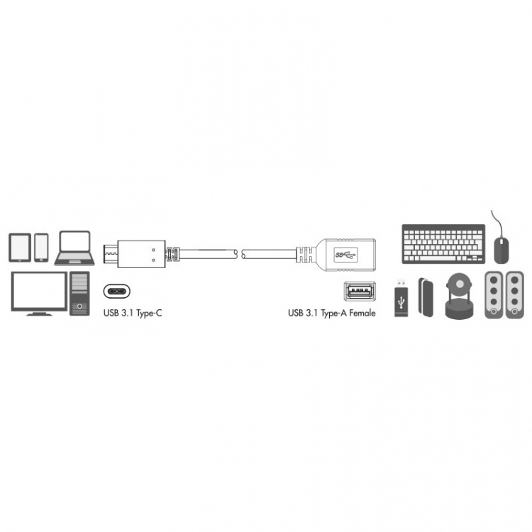 LogiLink USB 3.1 USB-C Ha -> USB-A Ho LogiLink USB 3.1 USB-C Ha -> USB-A Ho