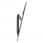 Champion Väggfäste Slim Tilt 32