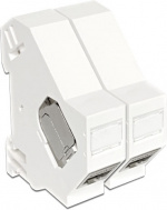 DeLOCK Keystone modulhållare för montering på DIN-skena