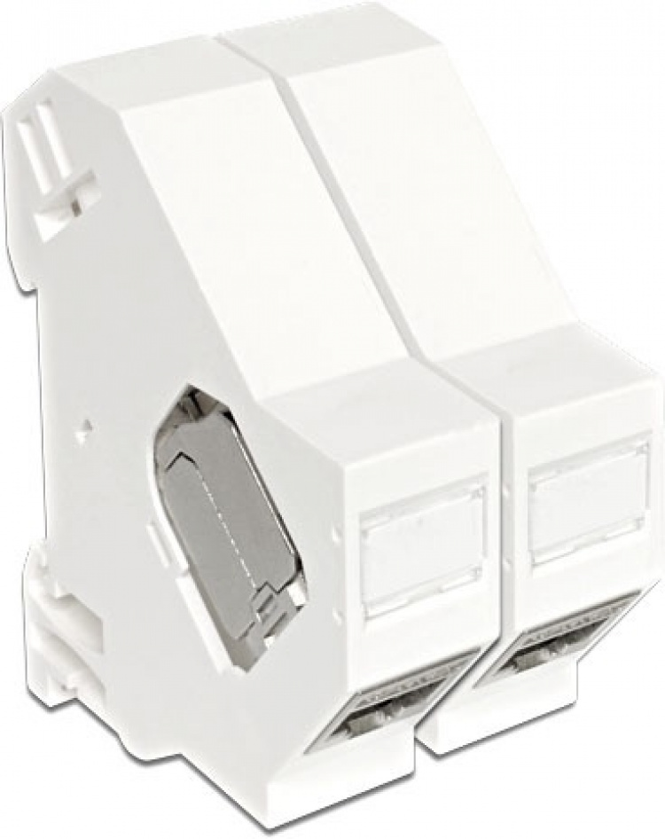 DeLOCK Keystone modulhållare för montering på DIN-skena