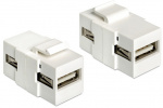 DeLOCK Keystone modul, USB 2.o Typ A ho - USB Typ A ho