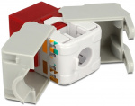 DeLOCK UTP Cat6 Keystone modul, RJ45 ho - LSA Cat6, Tool-free röd/gr
