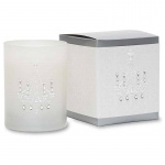 Primal Elements Icon Candle Chandelier