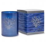 Primal Elements Icon Candle Coral