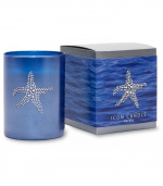 Primal Elements Icon Candle Starfish
