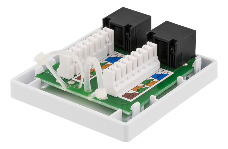 DELTACO oskärmat vägguttag, utanpåliggande UTP 2xRJ45, Cat6, vit