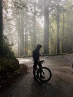 F-Secure TOTAL (SAFE+Freedome VPN) 1år 15 enh Full F-Secure TOTAL (SAFE+Freedome VPN) 1år 15 enh Full