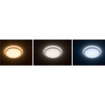 Philips Wawel Plafond LED 17W Tunable