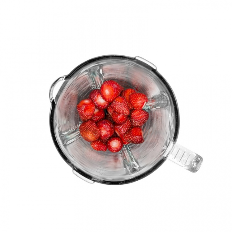 Champion Blender 1,5L 600W Glaskanna BL310 Rostfri