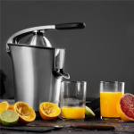 Princess Juicepress Professional 160W