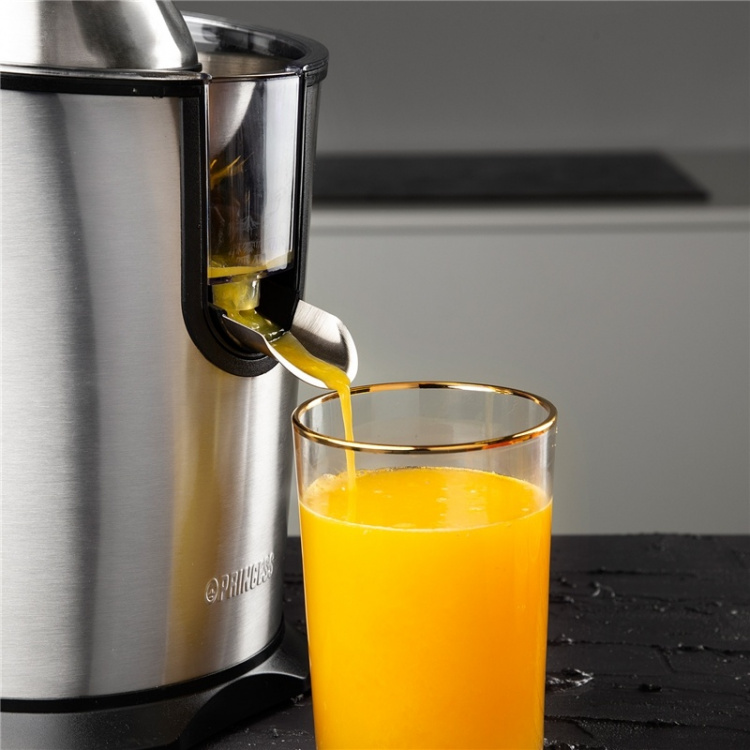 Princess Juicepress Professional 160W