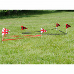 Bex Tournament of Knights Bex Tournament of Knights