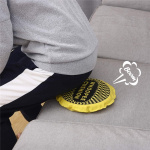 Whoopee Cushion - Gul