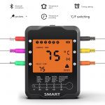 Trådlös Termometer med Bluetooth