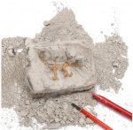 Dinosaurie Utgrävnings Kit Dinosaurie Utgrävnings Kit