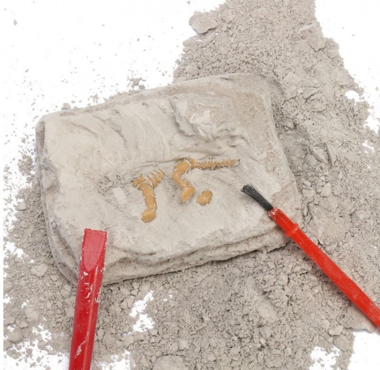 Dinosaurie Utgrävnings Kit Dinosaurie Utgrävnings Kit