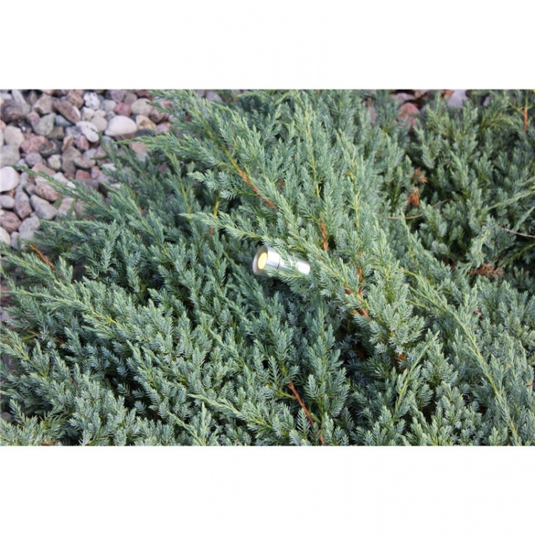 LightsOn Optica trädgårdsspot Aluminium