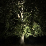 LightsOn Castor In-ground-markspot 1100lm Ø9cm