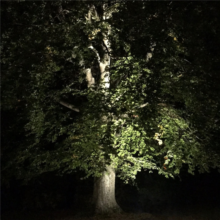 LightsOn Castor In-ground-markspot 1100lm Ø9cm