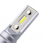 Dimljuslampor, 13W, Sockel H11, 2-pack Dimljuslampor, 13W, Sockel H11, 2-pack