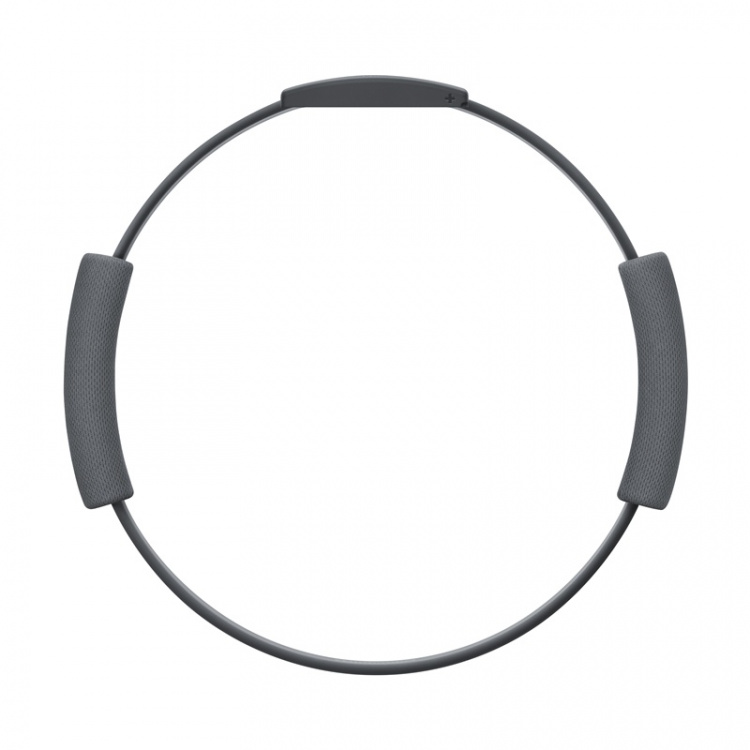 Ring Fit Adventure (Nintendo Switch) Ring Fit Adventure (Nintendo Switch)