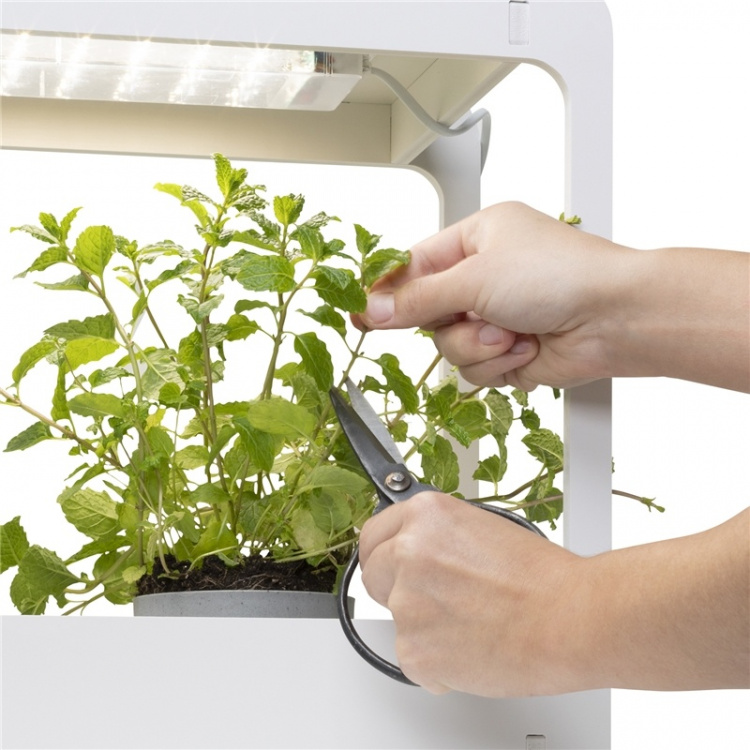 Smartwares LED-växtbelysning Smartwares LED-växtbelysning